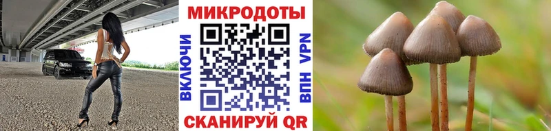 Галлюциногенные грибы MAGIC MUSHROOMS  Малоархангельск 